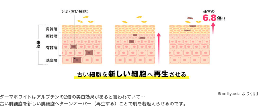 古い細胞を新しい細胞へ再生させる