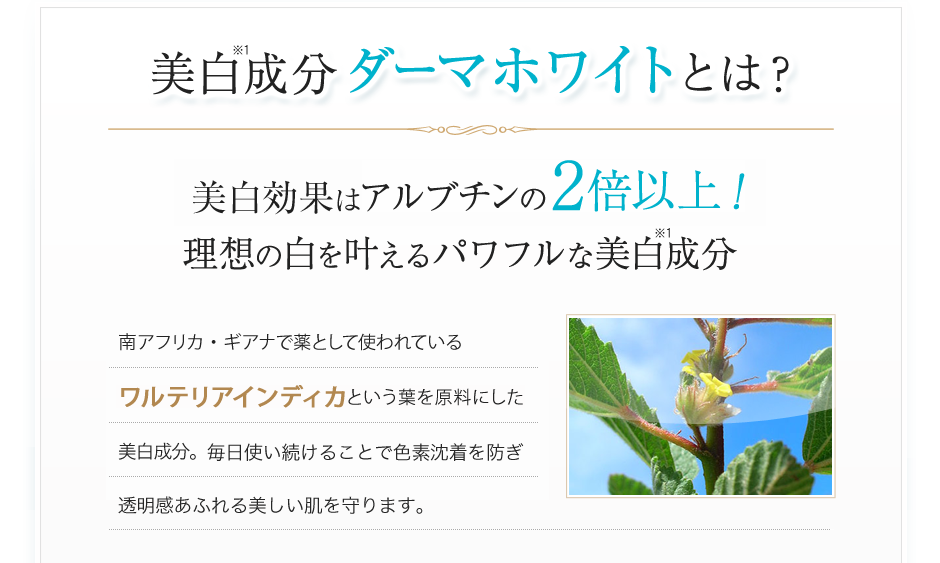 美白成分ダーマホワイトとは？