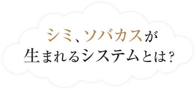 シミ、ソバカスが生まれるシステムとは？