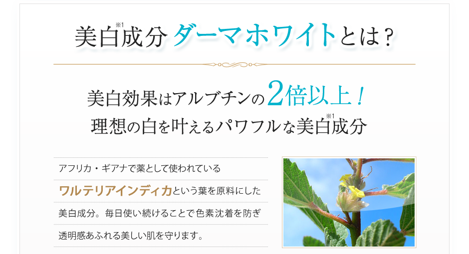 美白成分ダーマホワイトとは？